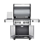 Газовый гриль Napoleon Rogue 525 SE (стальной, с ИК горелкой 3/3) (вид b)
