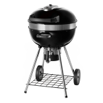 Угольный гриль Napoleon, PRO22K-LEG (вид b)